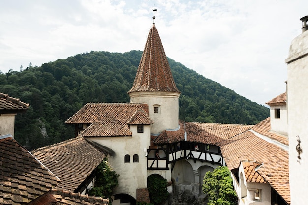 Zamek Bran w Rumunii Średniowieczny zamek Drakuli w Karpatach Transylwania
