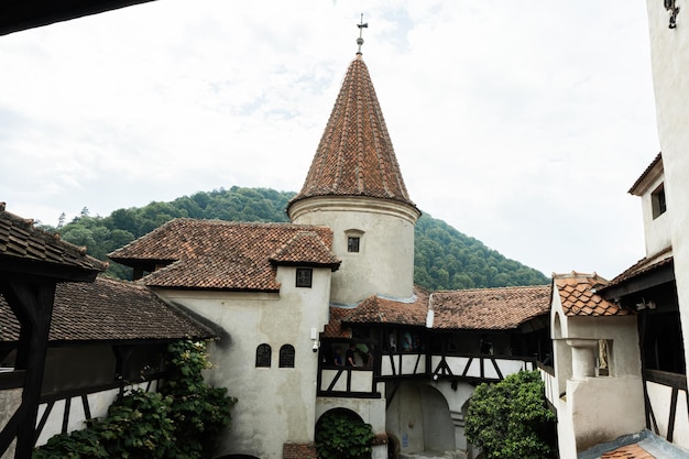 Zamek Bran w Rumunii Średniowieczny zamek Drakuli w Karpatach Transylwania
