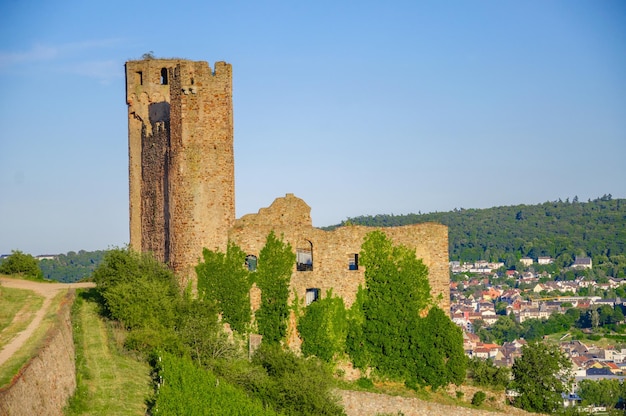 Zamek Ehrenfels nad Renem w pobliżu Ruedesheim