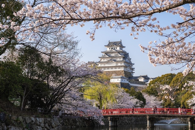 Zdjęcie zamek himeji rano, japonia