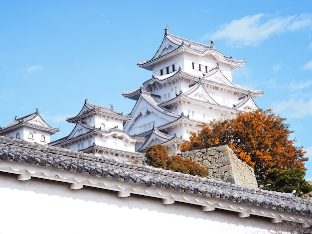 Zamek Himeji W Sezonie Jesiennym, Japonia.