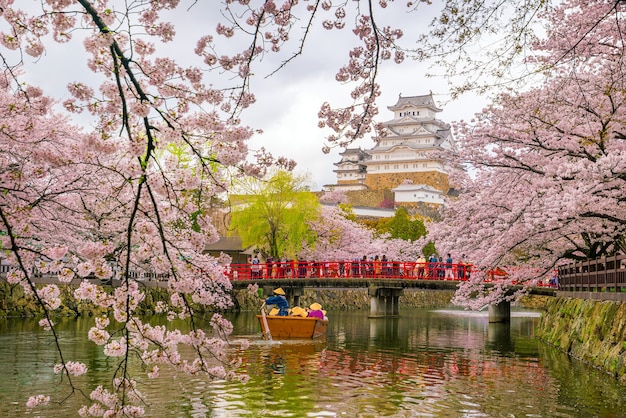 Zdjęcie zamek himeji z sezonem kwitnienia wiśni sakura w japonii