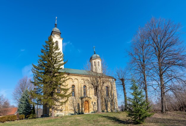 Zdjęcie zamek na tle niebieskiego nieba i drzew przed budynkiem