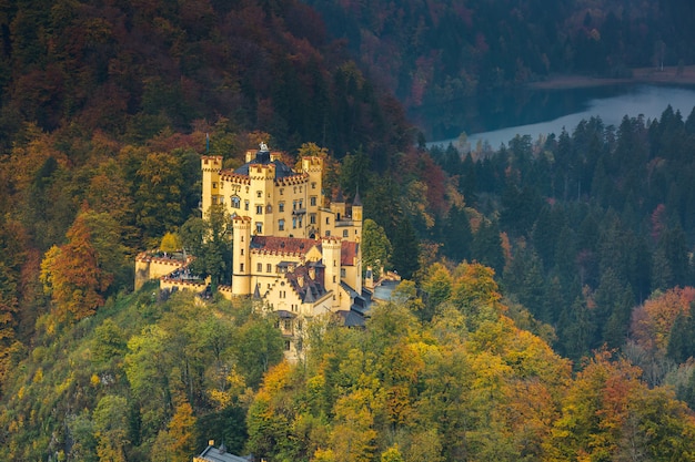 Zamek Neuschwanstein