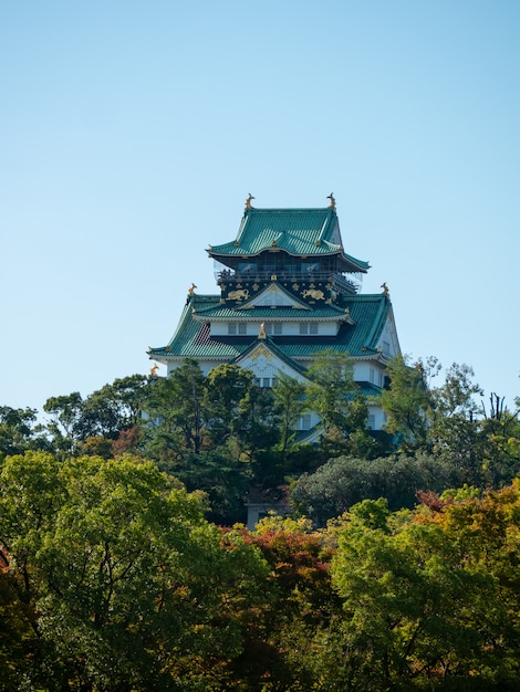 Zamek Osaka W Osace Z Jesiennych Liści. Japan Travel Concept