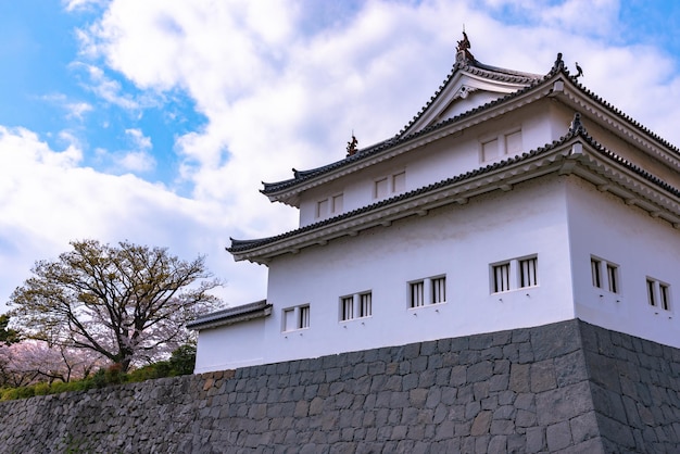 Zamek Sunpu TatsumiYagura podczas kwitnienia wiśni Shizuoka Japonia