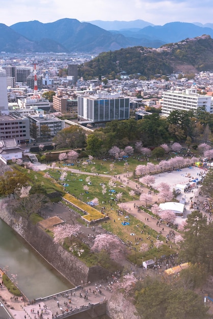 Zamek Sunpu TatsumiYagura podczas kwitnienia wiśni Shizuoka Japonia