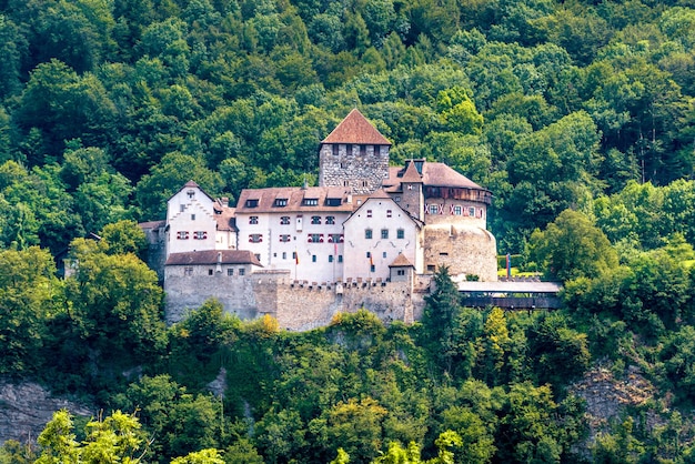 Zamek Vaduz w liechtensteinie