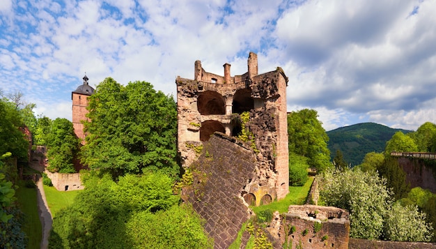 Zamek W Heidelbergu Na Wiosnę, Panorama