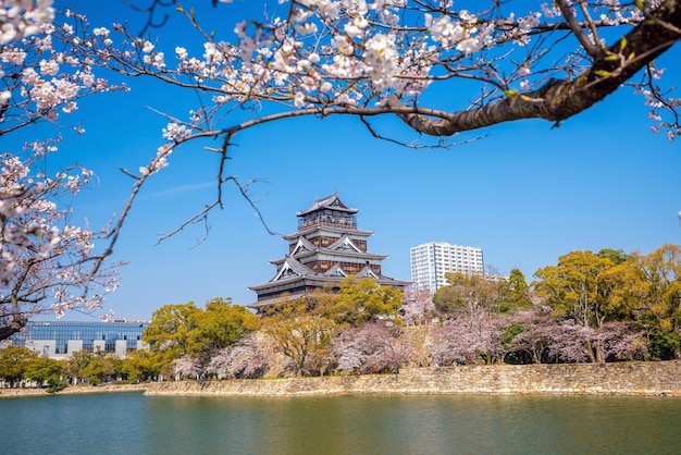 Zamek W Hiroszimie Podczas Pory Kwitnienia Wiśni W Japonii W Ciągu Dnia