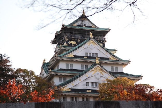 Zamek w Osace jesienią