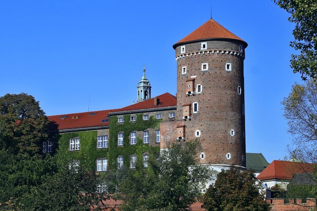 Zdjęcie zamek wawel twierdza zewnętrzna wieża ścienna z bluszczem polska kraków