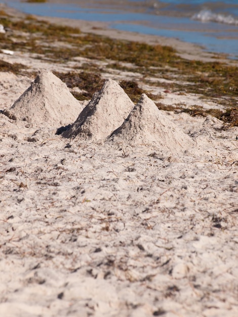 Zamki z piasku na plaży w Key West na Florydzie.