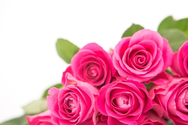 Zamknij się piękny bukiet róż różowy na białym tle