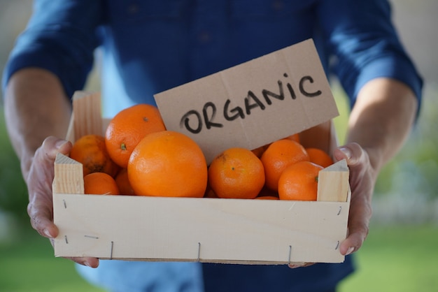 Zdjęcie zamknij się z lokalnego rolnika posiadającego organiczne pomarańcze i klementynki w skrzyni z organicznym znakiem