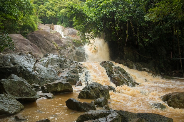Zamożna siklawa w porze deszczowej na wyspie Koh Samui, Tajlandia
