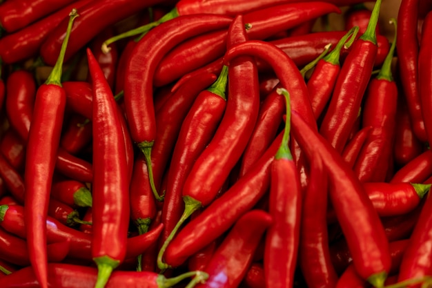 Zdjęcie zamyka up gorący czerwony chilijczyk pieprz.
