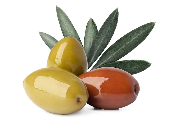 Zamyka up oliwki z oliwnymi liśćmi odizolowywającymi na bielu
