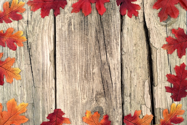 Zamyka w górę kolorowych jesień liści na tle stare brown deski i kopiuje przestrzeń.