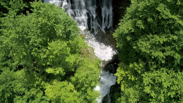 Zanurz się w zapierającym dech w piersiach pięknie tego wspaniałego zielonego zdjęcia przyrody wodospadu