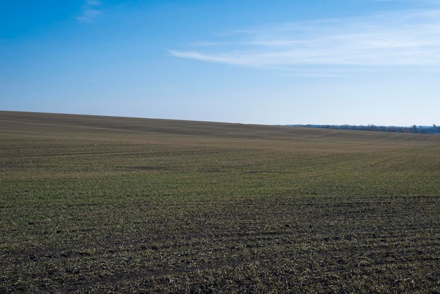 Zaorane pole i błękitne niebo jako tło