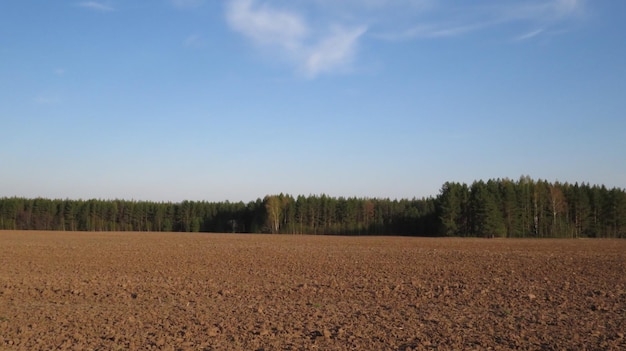 Zaorane pole i błękitne niebo