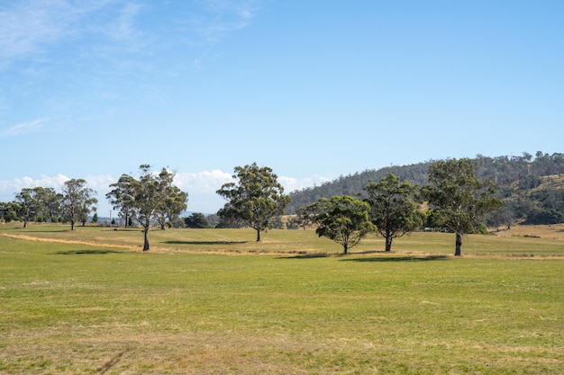 Zapora wodna na farmie na polu otoczonym drzewami i zieloną trawą w krajobrazie rolniczym