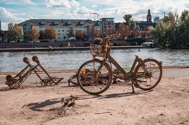 Zardzewiały Rower I Wózek Na Zakupy Wyciągnięty Z Rzeki W Parku Miejskim.