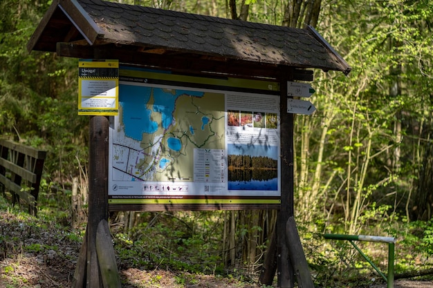 Zarejestruj się z mapą parku narodowego stojącego w lesie w słoneczny dzień wczesną wiosną w polsce