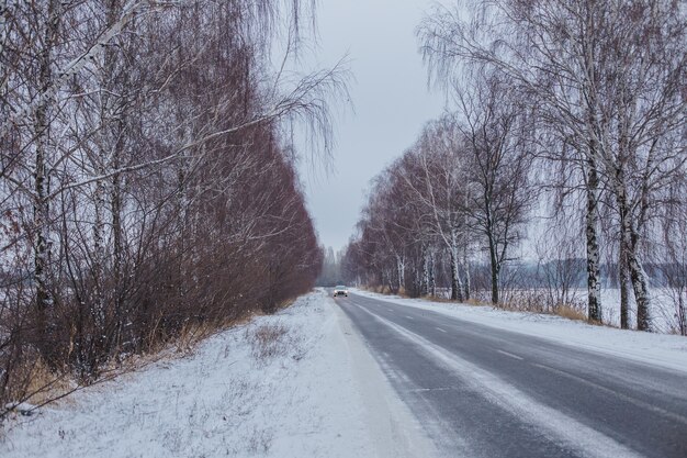 Zaśnieżona droga z brzozami bez liści Samochód na śliskiej drodze toczony tor na pierwszym śniegu