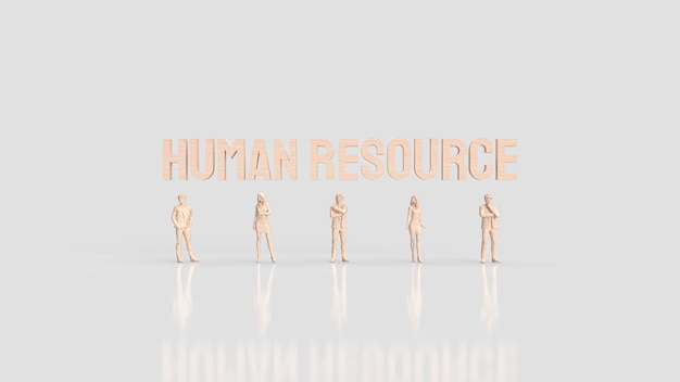 Zasoby ludzkie HR odnoszą się do działu w organizacji odpowiedzialnego za zarządzanie ludźmi pracującymi dla firmy