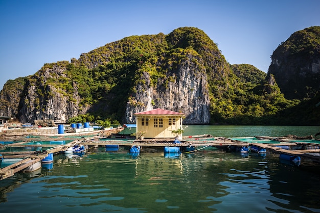 Zatoka Halong, Wietnam