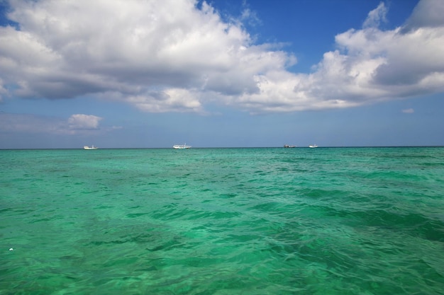 Zdjęcie zatoka shuab na wyspie sokotra ocean indyjski jemen