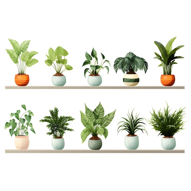 Zbiór różnych roślin domowych wystawionych w ceramicznych garnkach z przezroczystym tłem