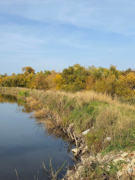 Zdjęcie zbiornik wodny z trawą i drzewami