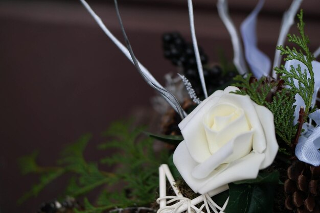 Zdjęcie zbliżenie białego kwiatu róży
