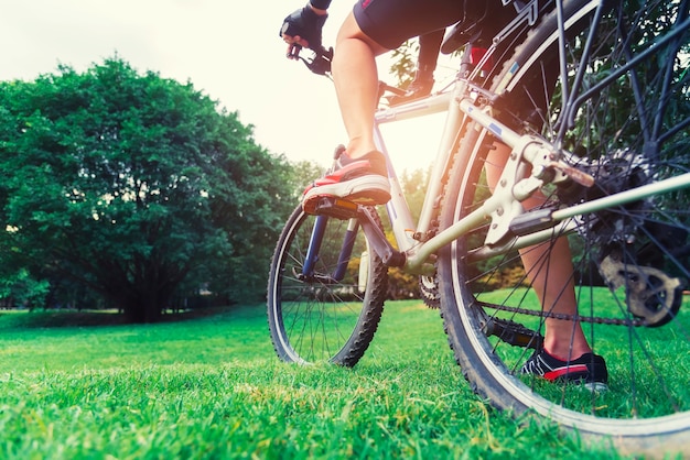 Zbliżenie bicykl na zieleni polu przy parkiem w zmierzchu.