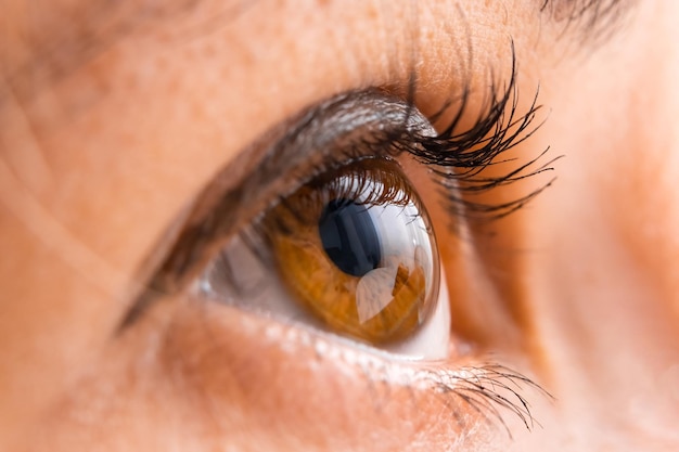 Zbliżenie brązowego oka z pomalowanymi rzęsami