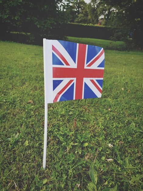 Zbliżenie brytyjskiej flagi na trawiastym polu w parku