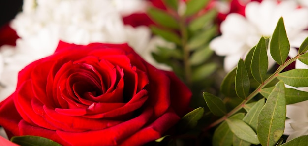 Zbliżenie bukiet czerwonych róż z stokrotkami