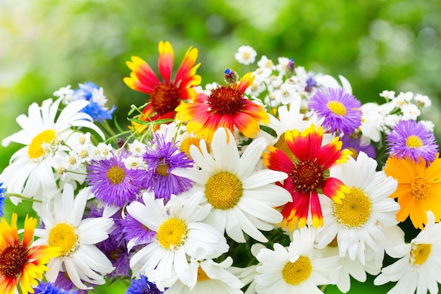 Zbliżenie bukiet różnych letnich kwiatów na zielonym tle