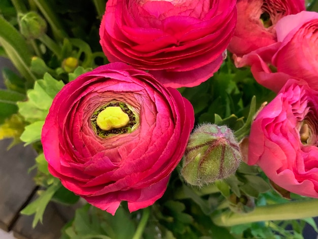 Zdjęcie zbliżenie bukietu róż