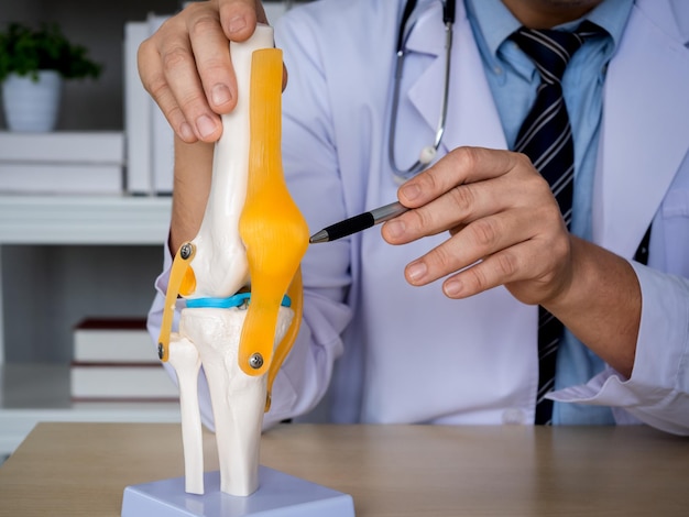 Zbliżenie długopis trzymany przez ortopedycznego lekarza mężczyzny w białym fartuchu wskazującym na model anatomii stawu kolanowego na biurku, aby wyjaśnić pacjentowi w gabinecie medycznym Koncepcja leczenia fizjoterapeutycznego