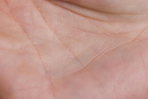 Zbliżenie do ludzkiej dłoni pieczęć i linie makro strzał koncepcji ręki mężczyzny lub kobiety