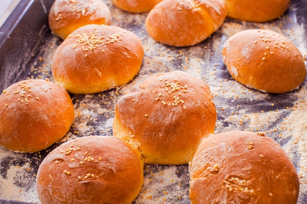 Zbliżenie domowe złote bułeczki do burgerów z sezamem na wierzchu Wyniki warsztatów pieczenia Pieczona brioche na sproszkowanej blasze do pieczenia