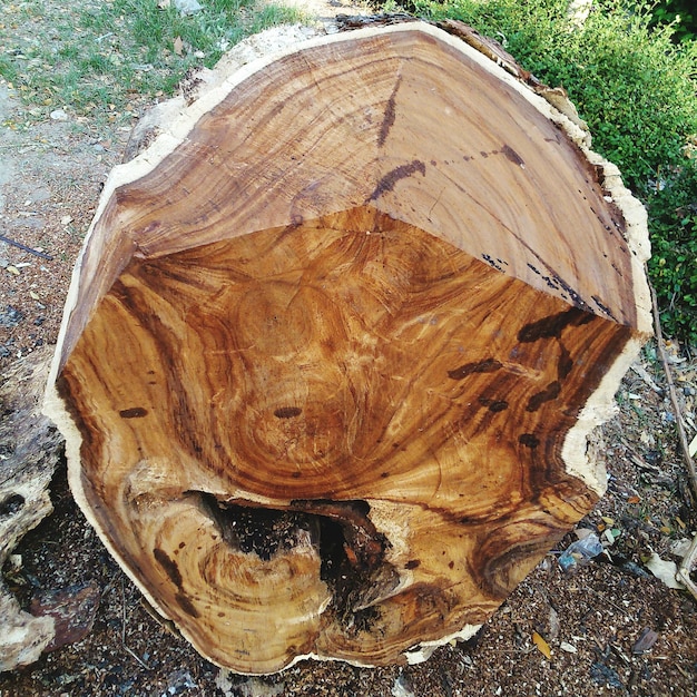 Zdjęcie zbliżenie drewna na ziemi