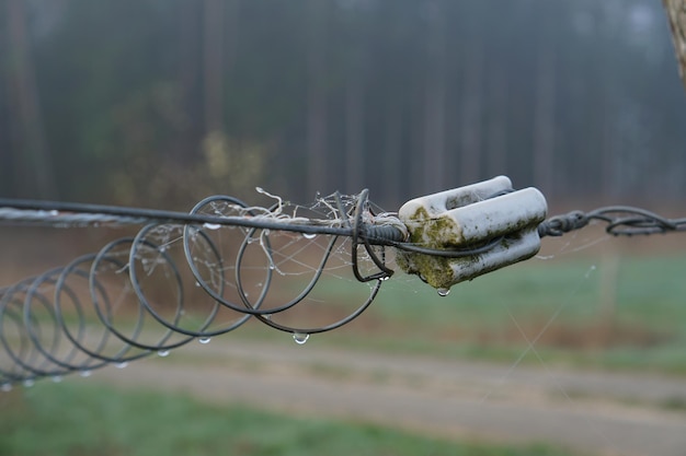 Zbliżenie Drutu Kolczastego Na Ogrodzeniu