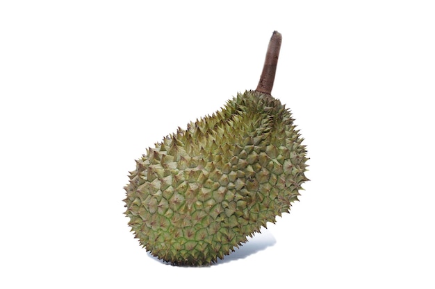 Zbliżenie durian na białym tle