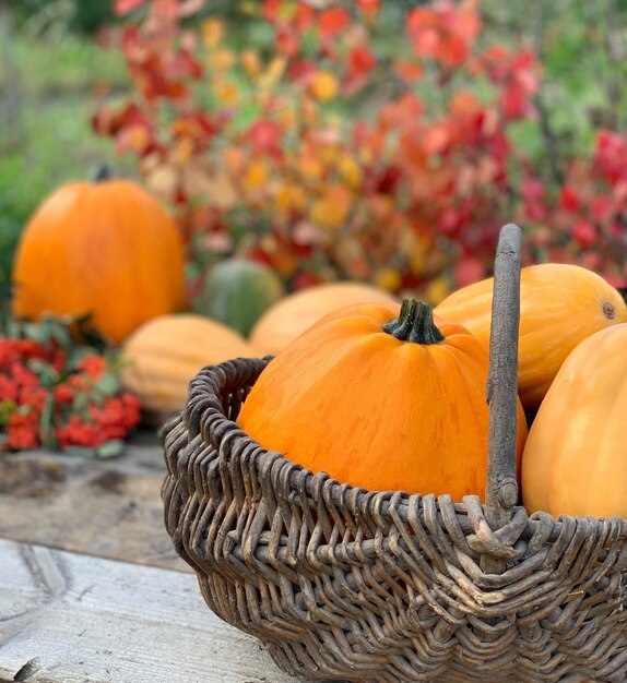 zbliżenie dyni na drewnianym tle. baner na halloween i święto dziękczynienia