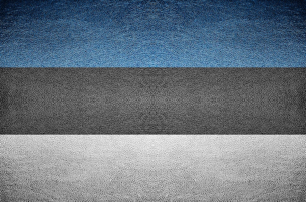Zbliżenie Ekran Estonia Flaga Pojęcie Na Pvc Skórze Dla Tła